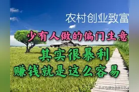 六个非常赚钱的偏门生意，但是少有人做，赶快来学图片
