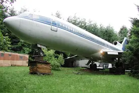 男子花百万买下退役飞机，改造成森林小屋，网友：太羡慕了图片