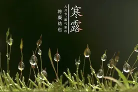 九月初三寒露，农村老人说“寒露交节生三怕”，怕啥呢？图片