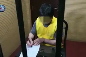 王振华上诉请求改判无罪：宁愿花几百万请律师也不赔偿受害女童图片