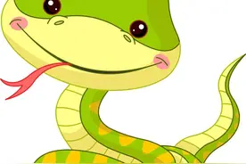 蛇为什么这么能耐饿？有的蛇甚至能一年不进食也饿不死图片