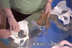 人类的生理构造有什么不合理的地方？图片