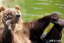 爆笑段子：校运动会上，一妹子大喊：加油！跑第一名我做你女朋友图片