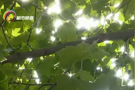 饭菜一顿吃不完该怎么存放？你的日常做法有可能不对图片