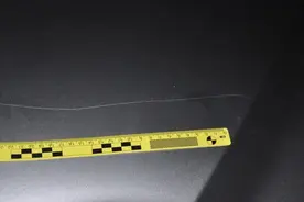 小伙酒后踹警车，酒醒连扇自己耳光……喝完酒，这些荒唐事千万别做！图片