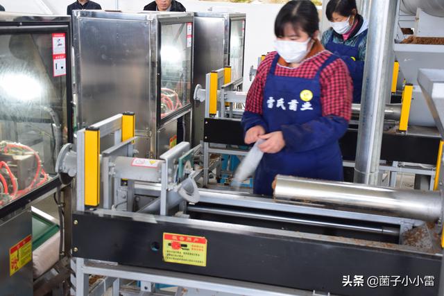 没想到，你是这样的渣渣——食用菌废弃菌渣的循环利用