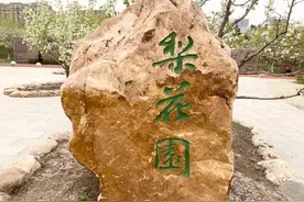 长春梨花园图片