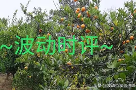 法律对人的合理约束其实也是一种保护图片