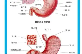 致命的胃出血，你了解多少？图片