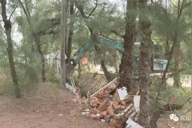 东山：【人居环境】全速推进金銮湾景观提升图片