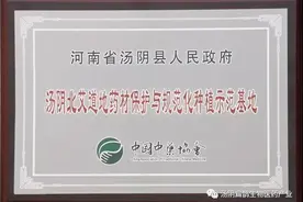 千年传承汤阴北艾图片