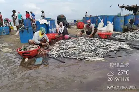 印度洋中一滴泪~斯里兰卡小渔村原生态展示一图片