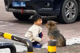 萌娃和流浪狗无障碍“沟通”，画面温馨有爱，网友直呼：被暖哭了图片