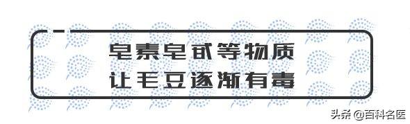 毛豆，这一不留神就让你入院的爱豆，了解一下