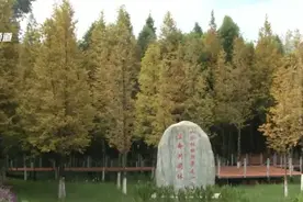 1086亩！昆明又一半岛湿地正式开放图片