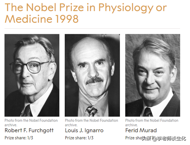 氨基酸衍生物代谢（二）