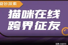 养了猫，还能养狗/乌龟/兔子/鹦鹉…吗？图片