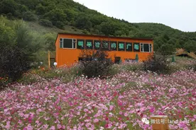 良田百世运动假日景区丨国庆遛娃打卡地！一起解锁更多快乐！图片
