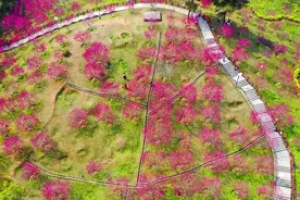 贵港：春暖花开，奔你而来！图片