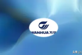 万华化学2019年报：景气下行业绩下滑，长期成长路径清晰图片