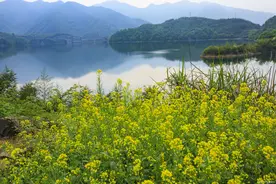 于中华：《以最后老铁匠与紫沙壶》（一个真实的故事）图片