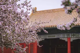 故宫的这个角落原是太子东宫，春天花海盛放，美得像梦图片