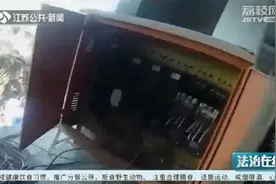 两男子开车偷电缆，完事还换上别人车牌！没想到，手一抖，车牌装反了图片