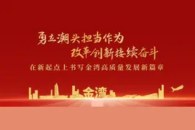 区委书记描绘金湾“实干图”！图片