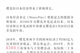 樱花催生千亿市场，谁在为“粉”经济买单？图片