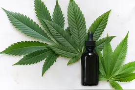 化妆品拟禁用大麻成分，工业大麻的风口要凉？图片