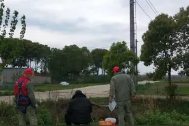 太危险！垂钓请远离高压线图片