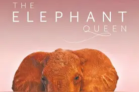 如果大地荒芜 人类何去何从图片