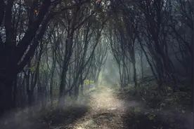 steamwallpaper精选壁纸 第十一期陌上花开，可缓缓归矣。图片