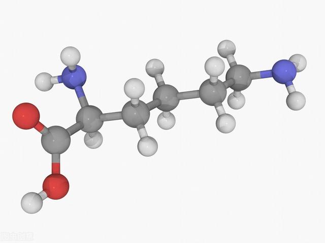 《中国大百科全书（第2版）》读书笔记01197-氨基酸