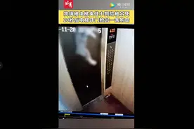 惊险！小狗进电梯遇关门被牵引绳卡半空图片