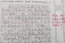 小学生作文《换爸爸》火了，看后笑出鹅声，老师：妈妈同意吗图片