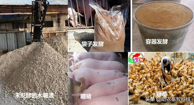 研究表明发酵饲料具有改善氨基酸、脂肪酸，肌肉理化特性及风味