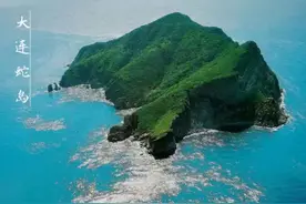 我国毒蛇最多的地方，20000条毒蛇生活在与世隔绝的小岛上图片