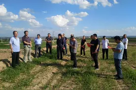 下半年，土地整治升级，两件事农民要注意，土地收回后将这样处理图片