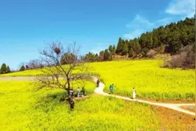 免！费！玩！洛阳这些景区不收钱！图片