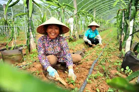 明年五牛耕地，八龙治水，两人分饼啥意思？是丰年，还是灾年？图片