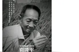 泪目！袁隆平爷爷走了，他的猫袁花花还没长大···图片
