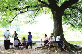 惊悚：蜈蚣钻进裤子了图片