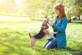 倡导科学养宠，推进立法保护，绿会成立伴侣动物工作组图片