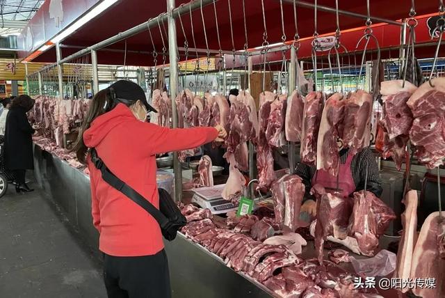 德阳今日猪价最新行情 德阳今日猪价最新行情