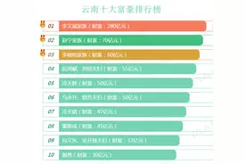 2019年云南10大富豪排行榜图片
