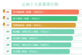 2019年云南10大富豪排行榜图片