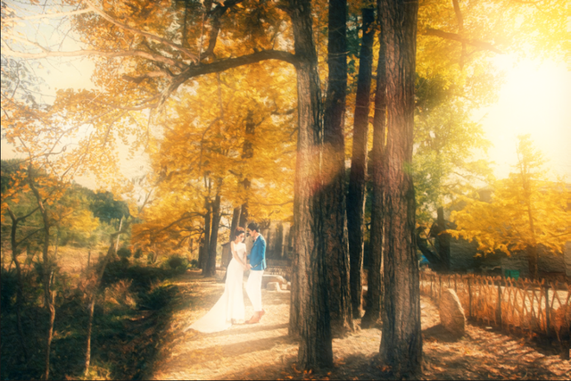 ps修图调色详解:简单几步为照片添加朦胧的柔光效果