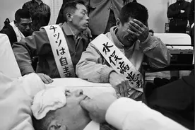 65年前日本爆发怪病，5万只猫跳海自尽，到底隐藏了什么？图片