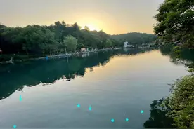 罗非鱼入侵南京景区，黑压压水面一大片，网友：到了冬天就会冻死图片